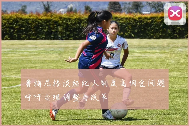 鲁梅尼格谈经纪人制度高佣金问题呼吁合理调整与改革