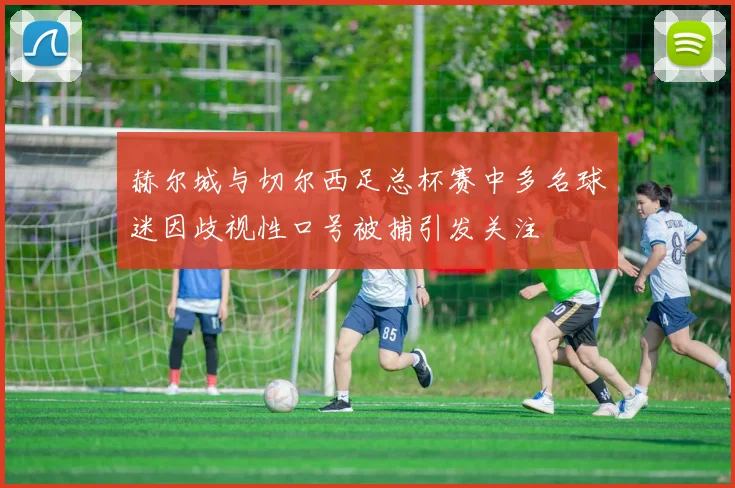 赫尔城与切尔西足总杯赛中多名球迷因歧视性口号被捕引发关注